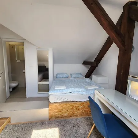 Bella Veselova * ليوبليانا