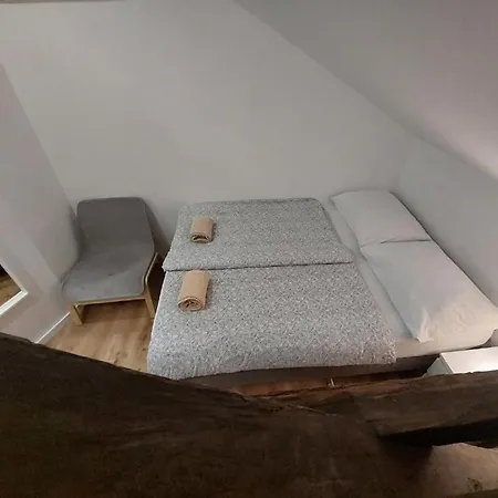 Bella Veselova * ليوبليانا