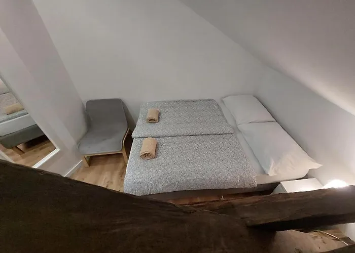 Bella Veselova * リュブリャナ